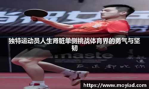 leyu乐鱼官方网站