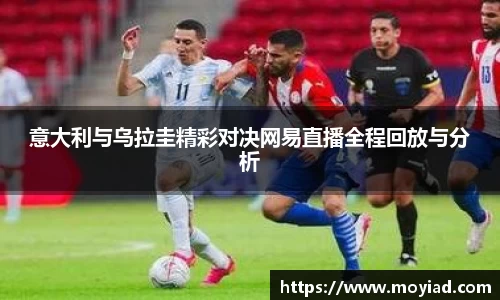 leyu乐鱼官方网站