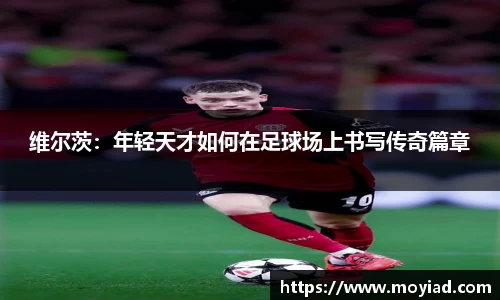 leyu乐鱼体育